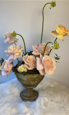 Container Arrangement