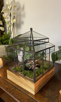 Wardian Glass Case Terrarium